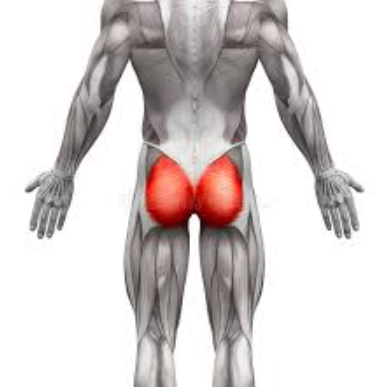 [Александр Волоткевич] Тренировка при плоских ягод_0.png